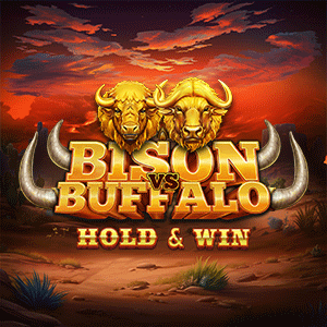 Buffalo Vs Bison